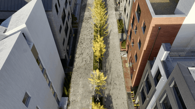 나무가 있는 거리와 현대적인 건물