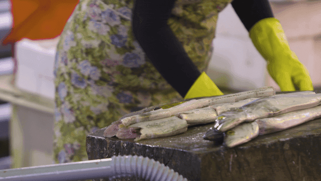 Person preparing fish with a knife