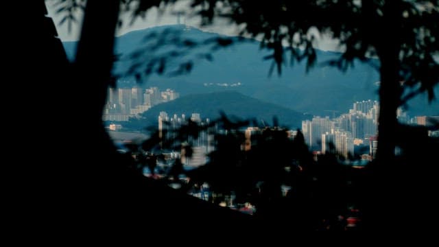 City skyline viewed through silhouette of trees