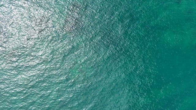 맑은 푸른 물이 있는 해안 지역