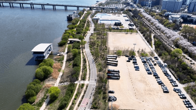 벚꽃이 핀 강변 공원