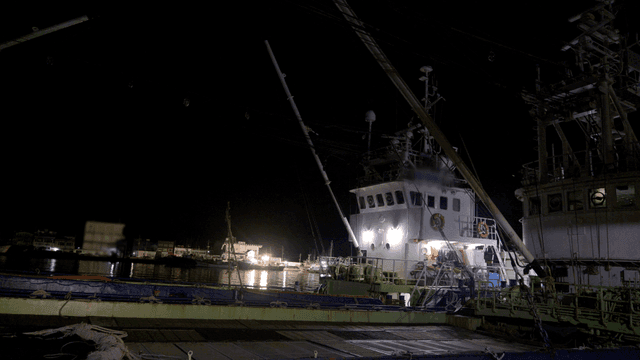 Fishing boats docked at night pier