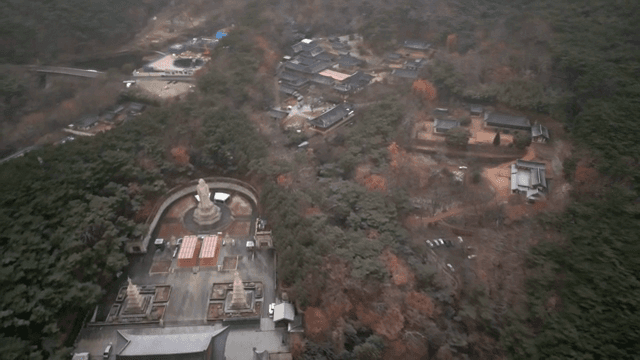 Traditional Korean temple surrounded by forest
