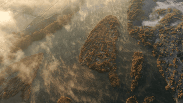 새벽에 강과 안개 낀 들판