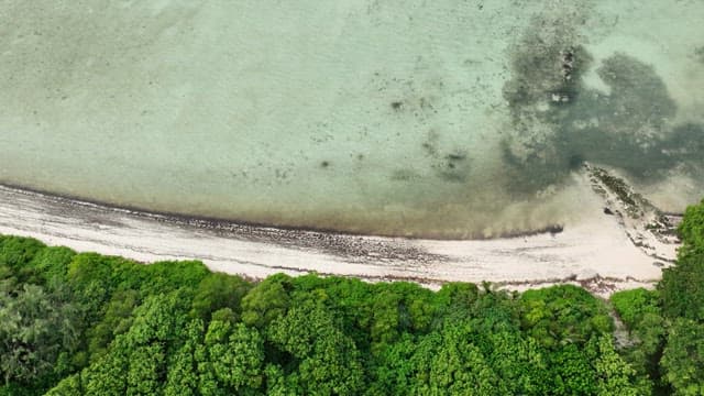 Blue beach on an island with lush rainforests