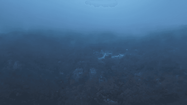 안개 낀 산 풍경