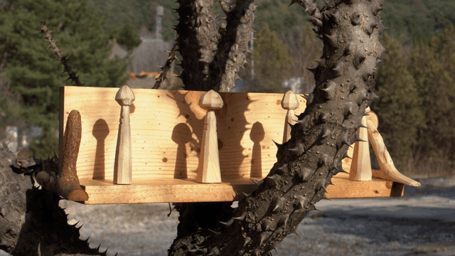 중앙에 목재 선반이 올라간 가시나무