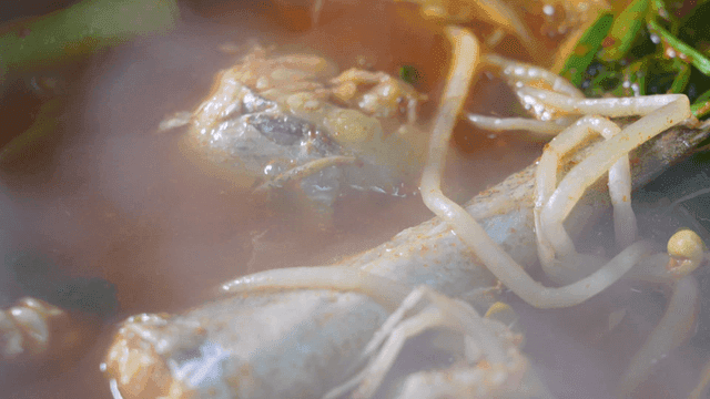 Fish stew with bean sprouts boiling