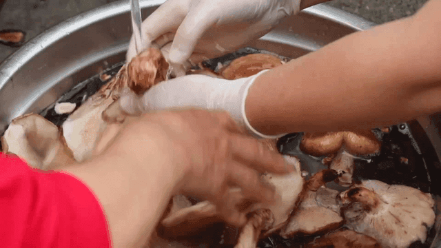 금속 대야에서 세척하는 버섯