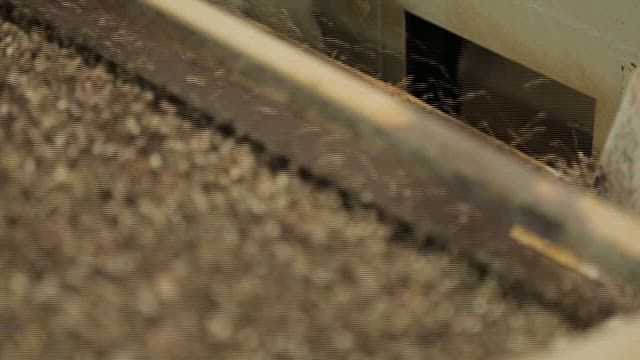 분류기에서 걸러지는 대마 종자