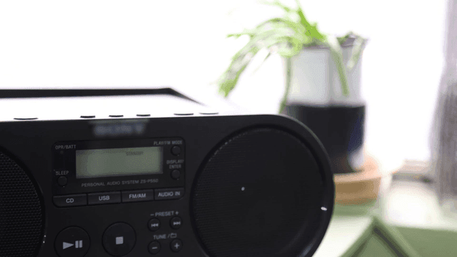 Radio and flowerpot placed by window