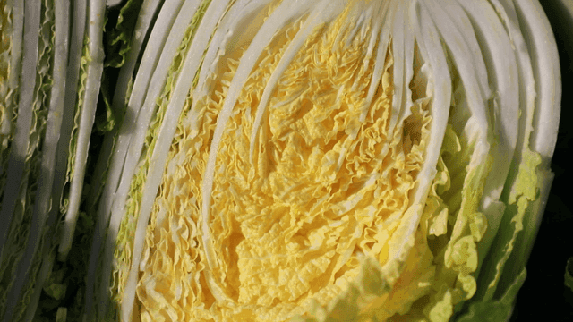 Close-up of fresh napa cabbage