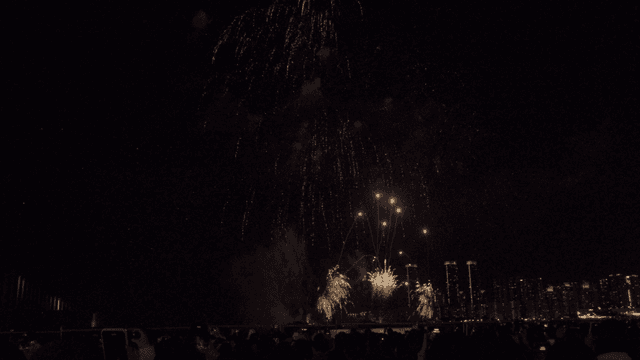 밤하늘 대교 위를 수놓는 불꽃놀이