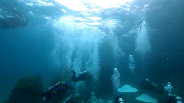 Divers installing a statue underwater in clear ocean