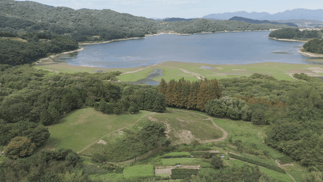Tranquil lake surrounded by green forest