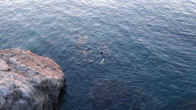 Serene Sunset Swim by Rocky Coastline