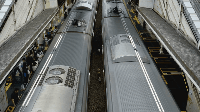 Busy train station with two trains