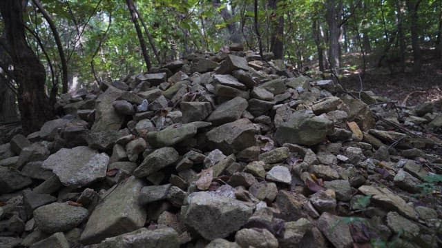 조용한 숲 풍경과 돌무더기