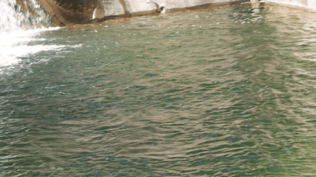 Clear deep valley stream surrounded by rocks