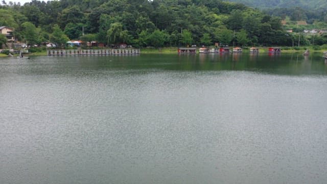 울창한 숲을 배경으로 한 고요한 낚시터