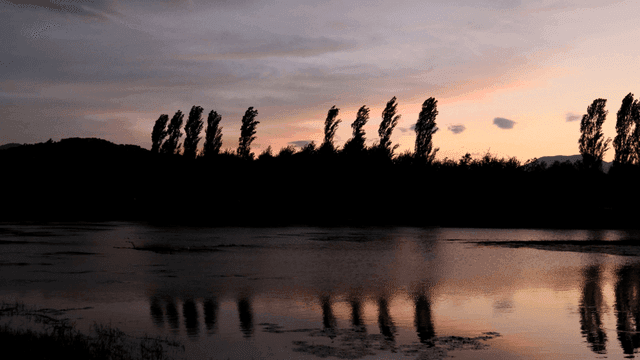 Sunset over a tranquil river with trees