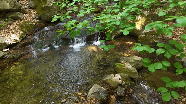 Tranquil stream flowing through rocks