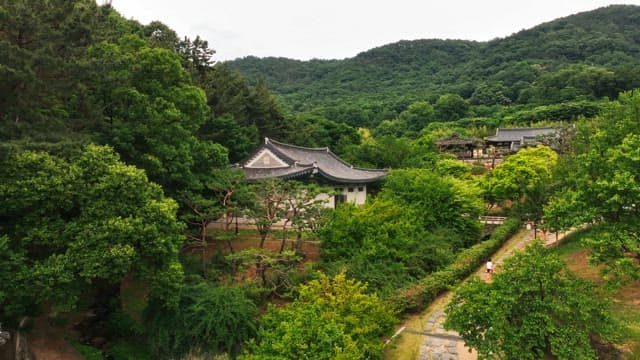 Traditional hanok village surrounded by lush trees