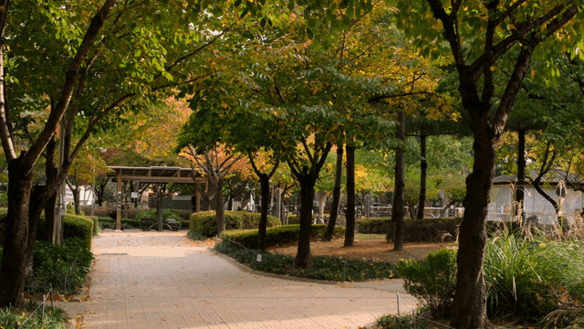 Peaceful park path surrounded by trees