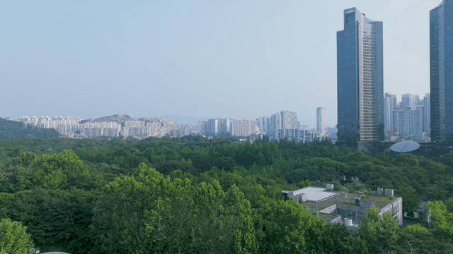 서울 도심 속 푸른 숲