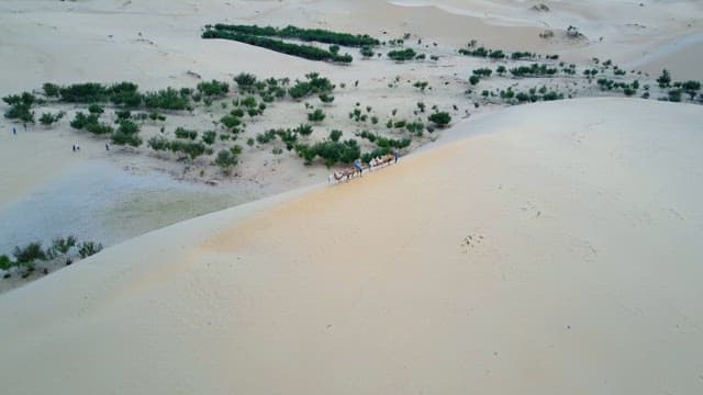 People and camels crossing a desert