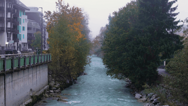 River flowing through maple leaf landscape