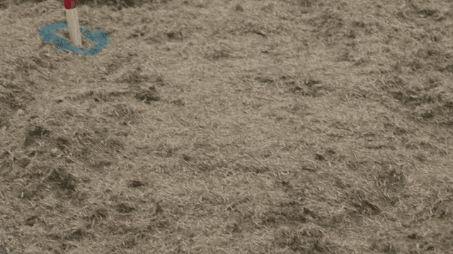 Land marked with stakes and markings