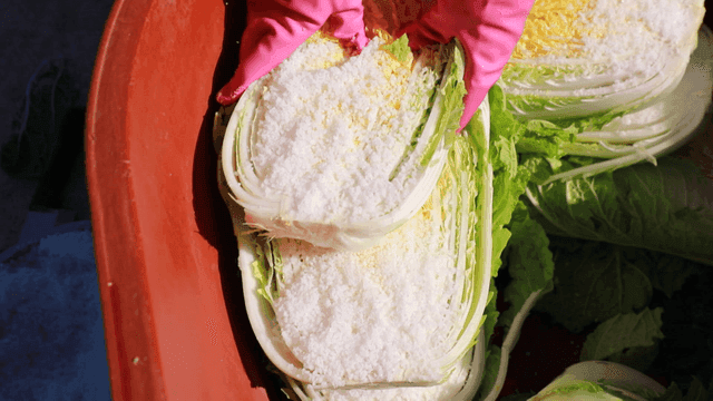Preparing cabbage by sprinkling salt on it