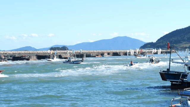 해안 양식장 근처의 어선들