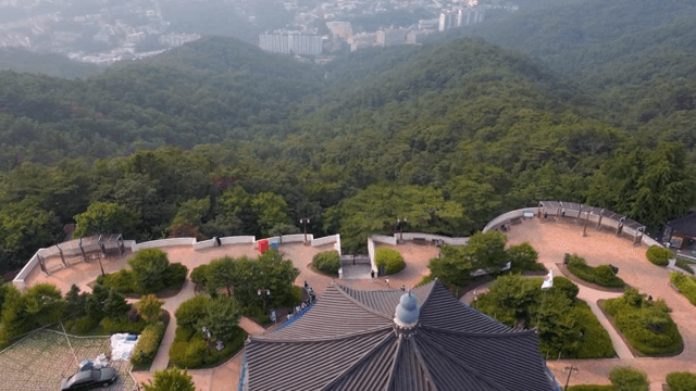 Octagonal pavilion surrounded by lush forest