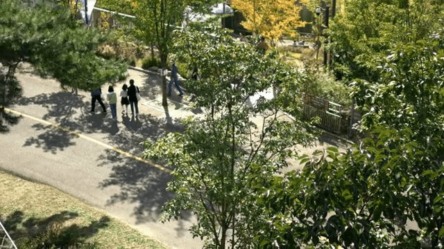 People walking on a sunny park path