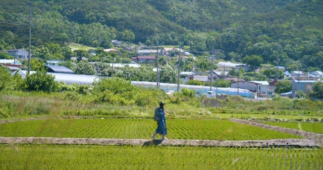 Traveler Strolling Through an Idyllic Landscape