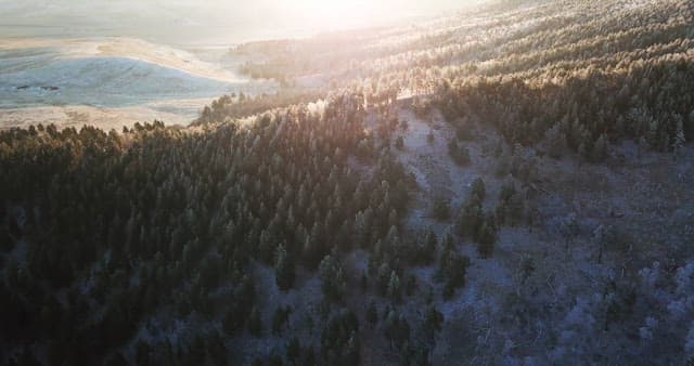 Sunrise over a forested mountain range