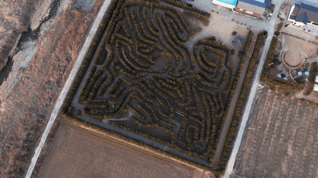 Aerial view of a maze surrounded by trees