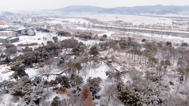 Snowy city park landscape with trees