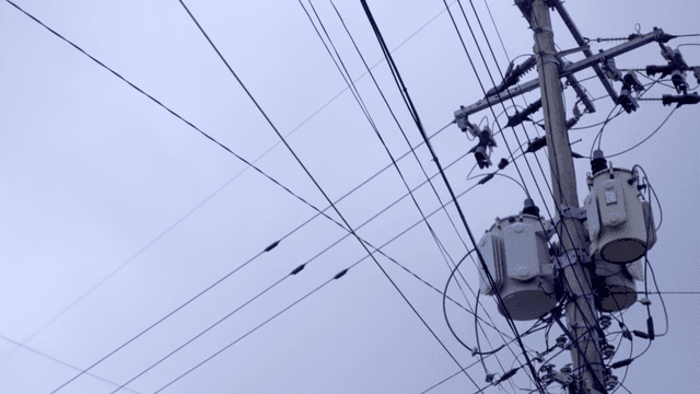 흐린 하늘을 배경으로 한 전신주와 전선