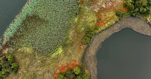 Serene lake with greenery