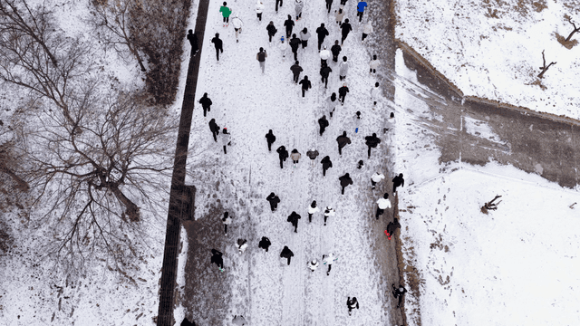 People running on snow-covered road in winter