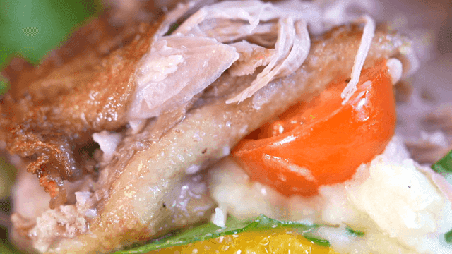 Close-up shot of duck confit with meat and vegetables