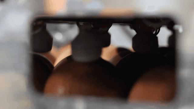 Eggs on conveyor belt inside factory machine