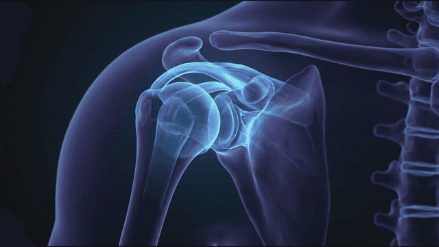 Detailed view of human shoulder joint