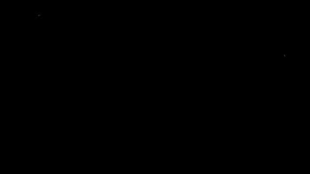 밤의 어둠을 밝히는 반딧불이 그래픽 효과