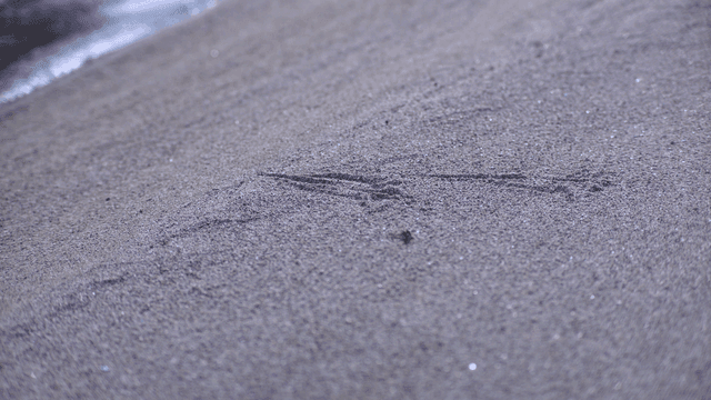 잔잔한 물결와 모래의 클로즈업