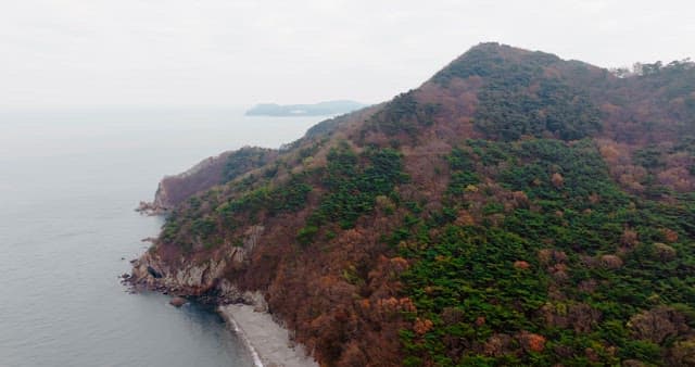 외딴 섬의 가을이 물든 단풍숲