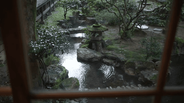 비오는 날의 잔잔한 정원과 시냇물